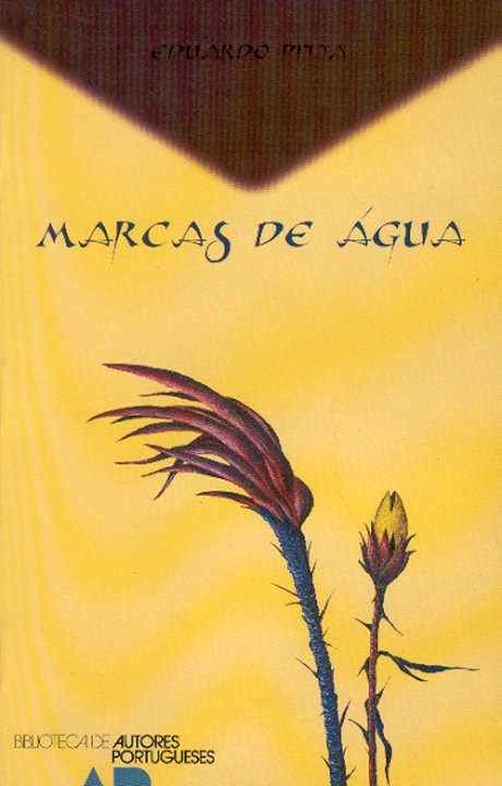 Capa de Marcas de Água